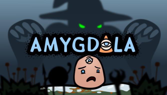 Amygdala Amygdala