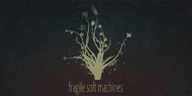 Fragile Soft Machines Fragile Soft Machines