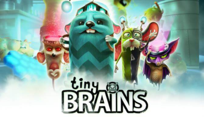 Tiny Brains Tiny Brains