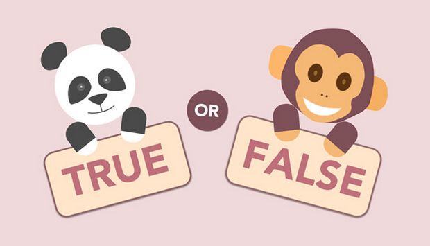 True or False True or False