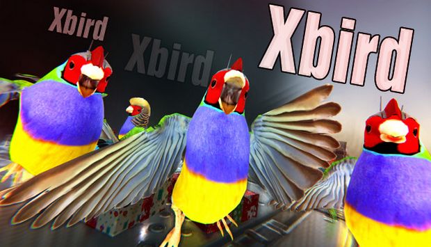 Xbird Xbird