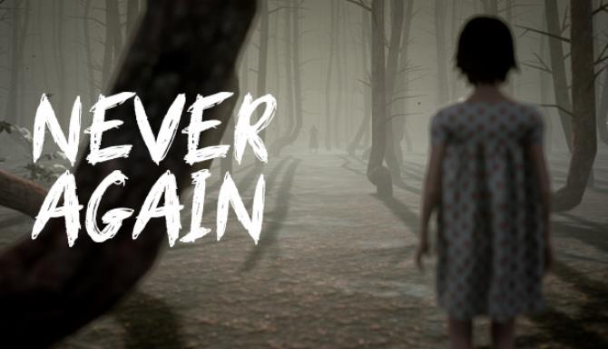 Never Again Never Again