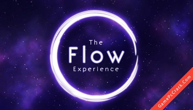 The Flow Experience The Flow Experience