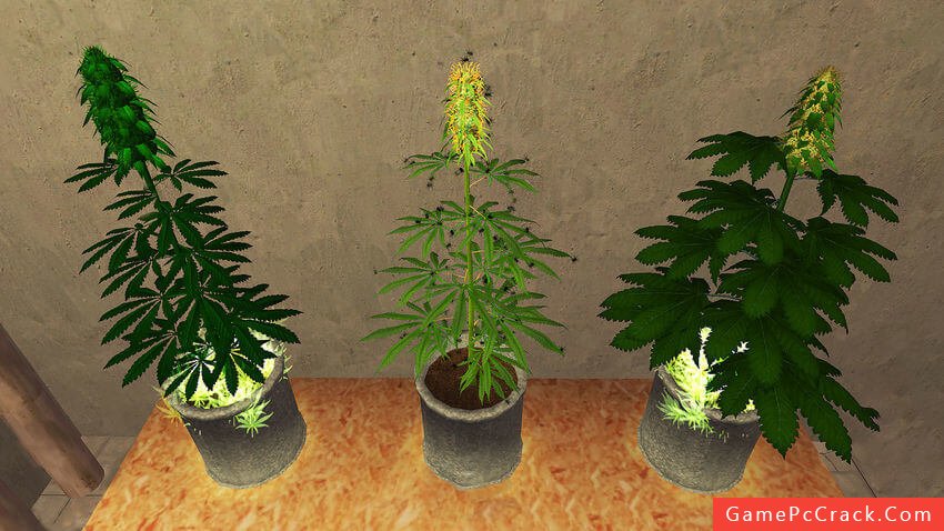 weed shop 2 free download