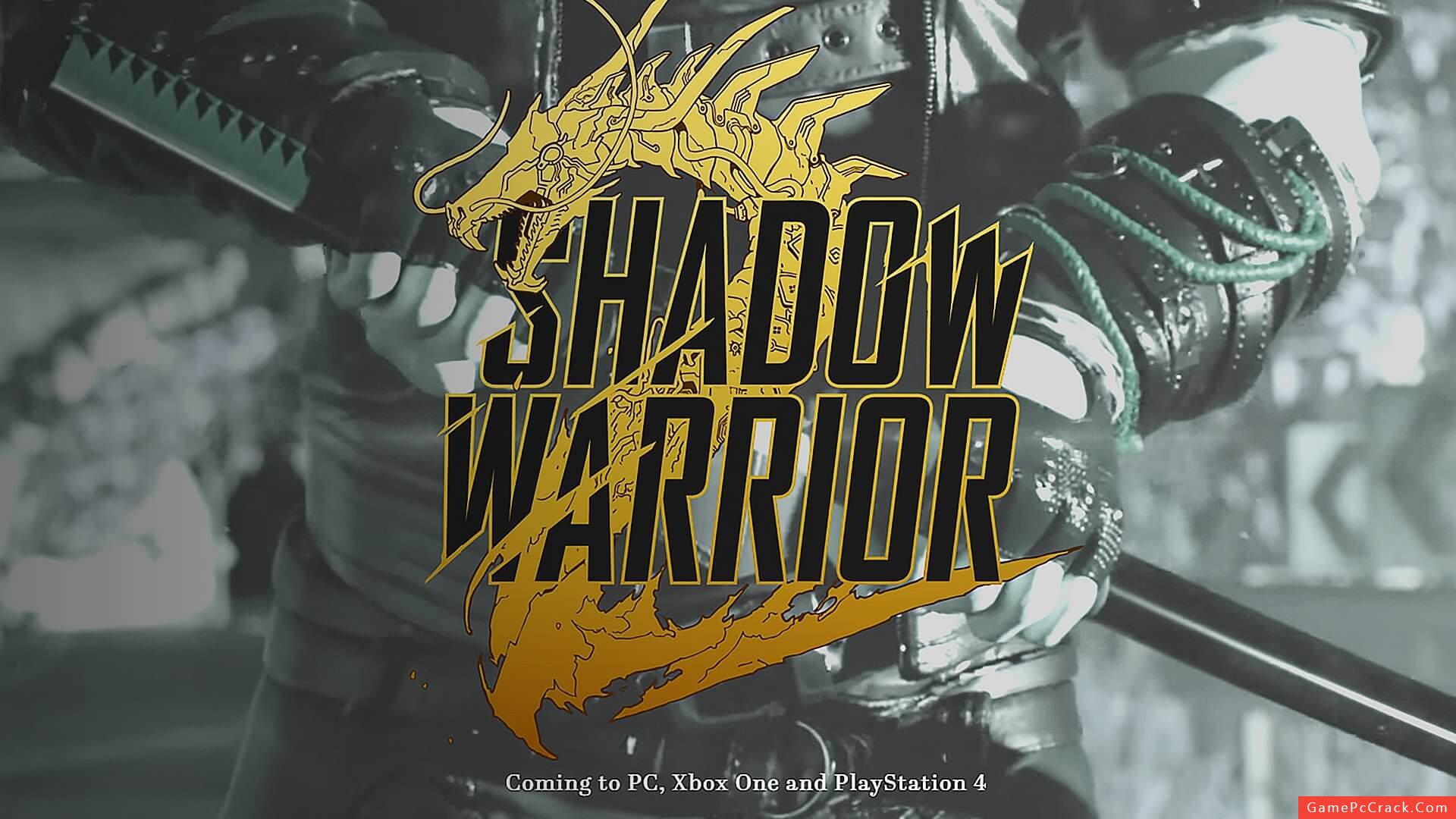 art of shadow warrior game