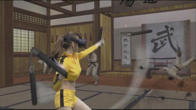 Kung Fu All-Star VR 