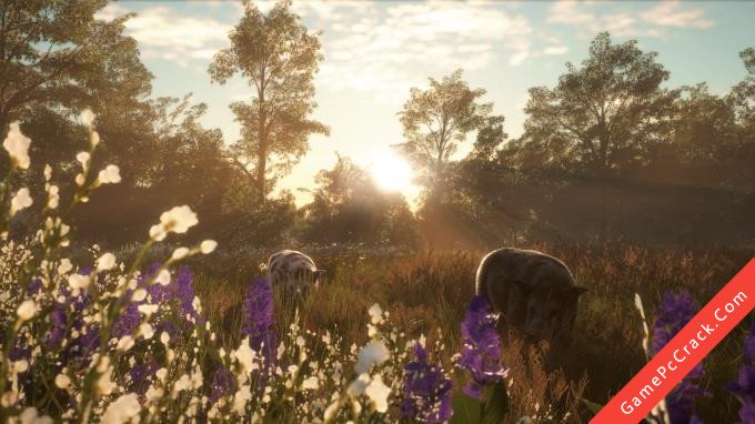 theHunter: Call of the Wild – Mississippi Acres Preserve 