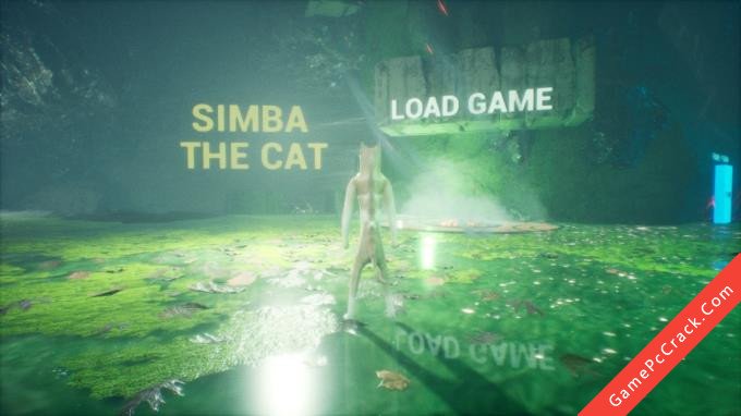 SIMBA THE CAT 