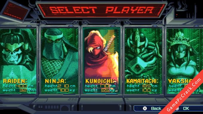 The Ninja Saviors: Return of the Warriors 
